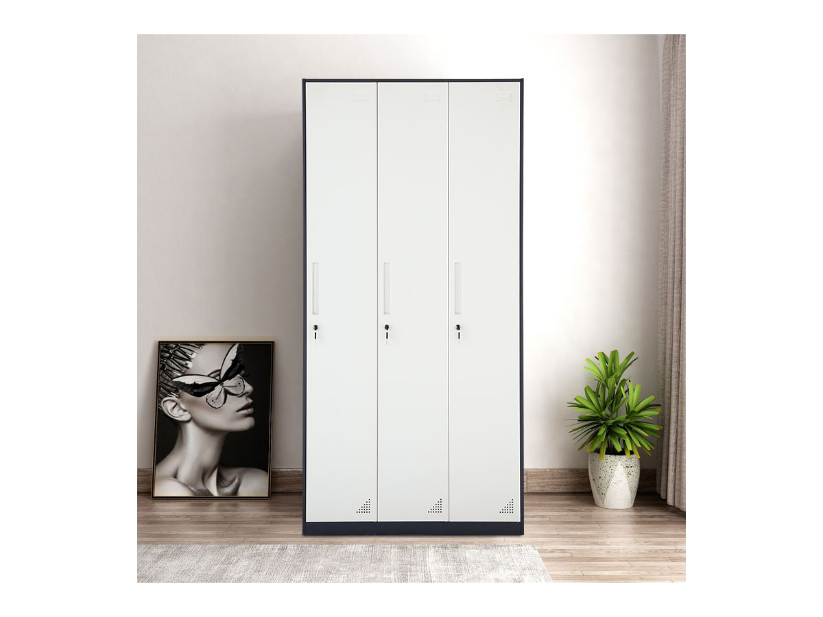 豐龍鐵皮柜，耐用儲物首選